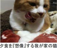 職員レポ川田(1)