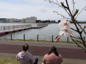 青空4月(1)